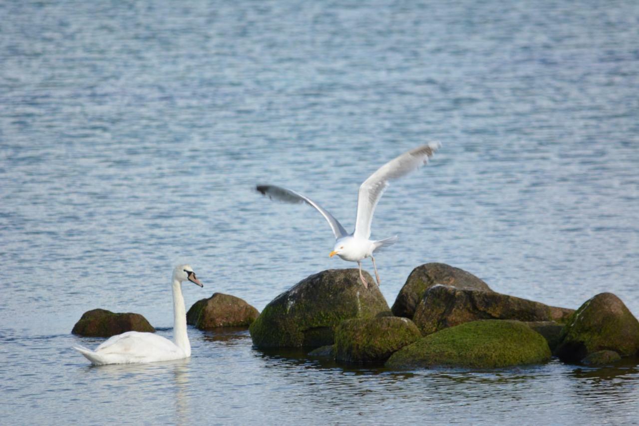 Forsthaus Wendt Lägenhet Timmendorfer Strand Exteriör bild